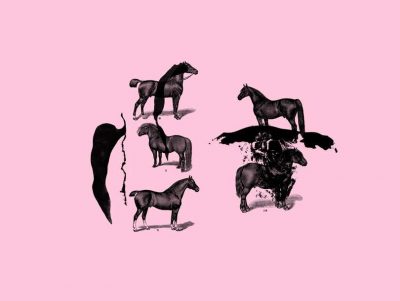 horses