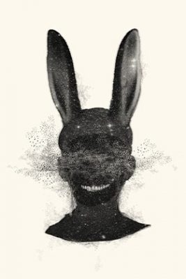 rabbit