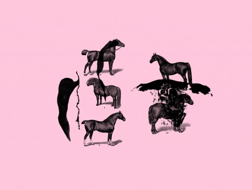 horses